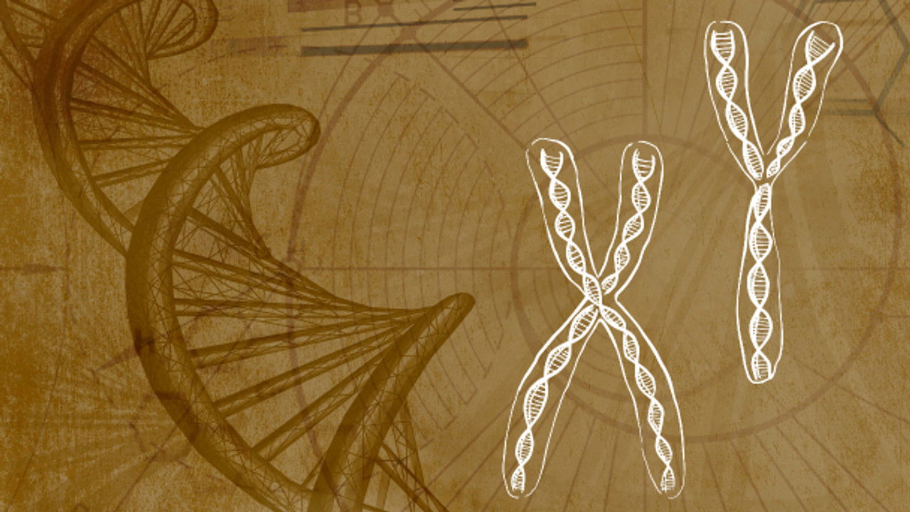 Inner Evolution — Épisode 3