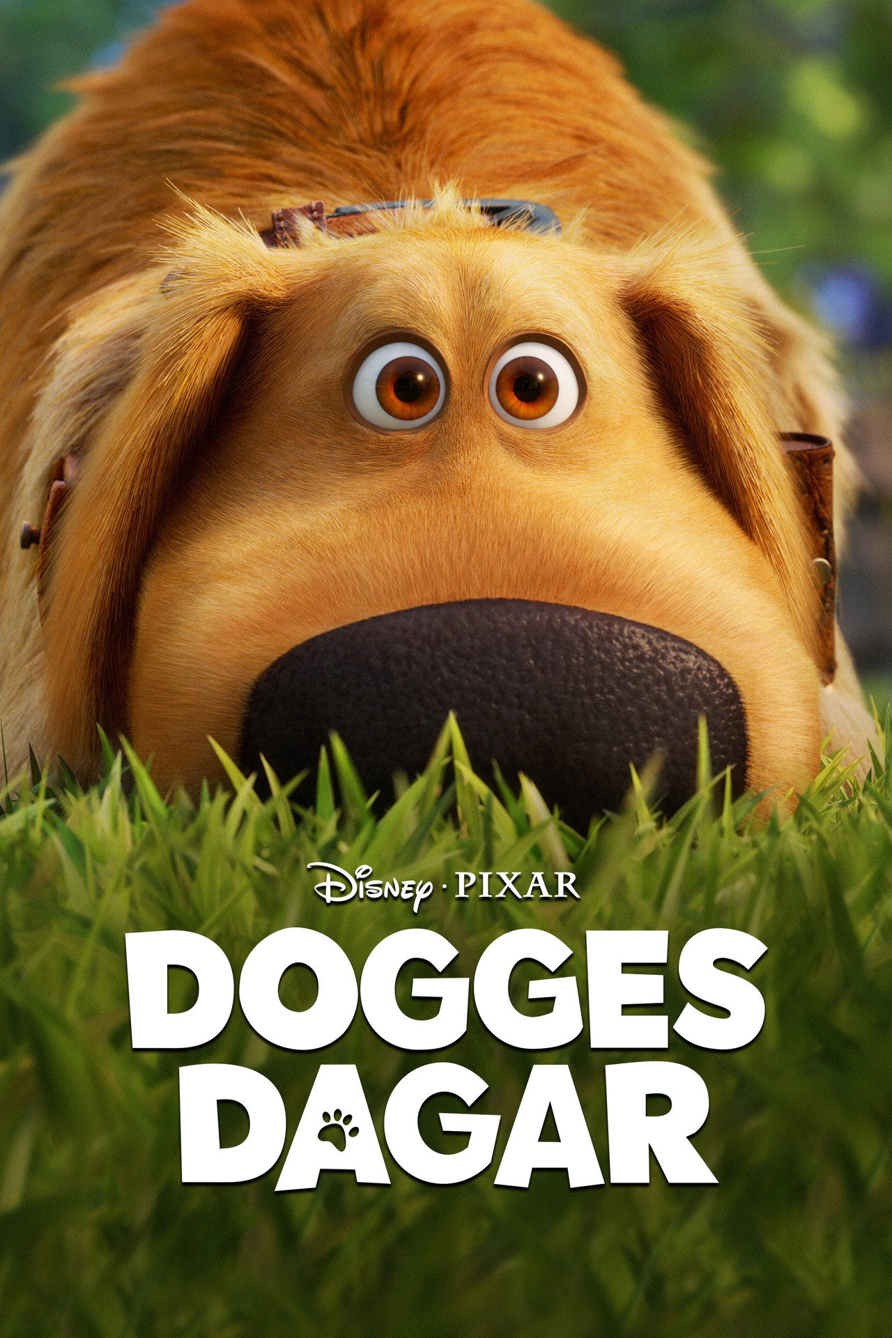 Dogges dagar affisch