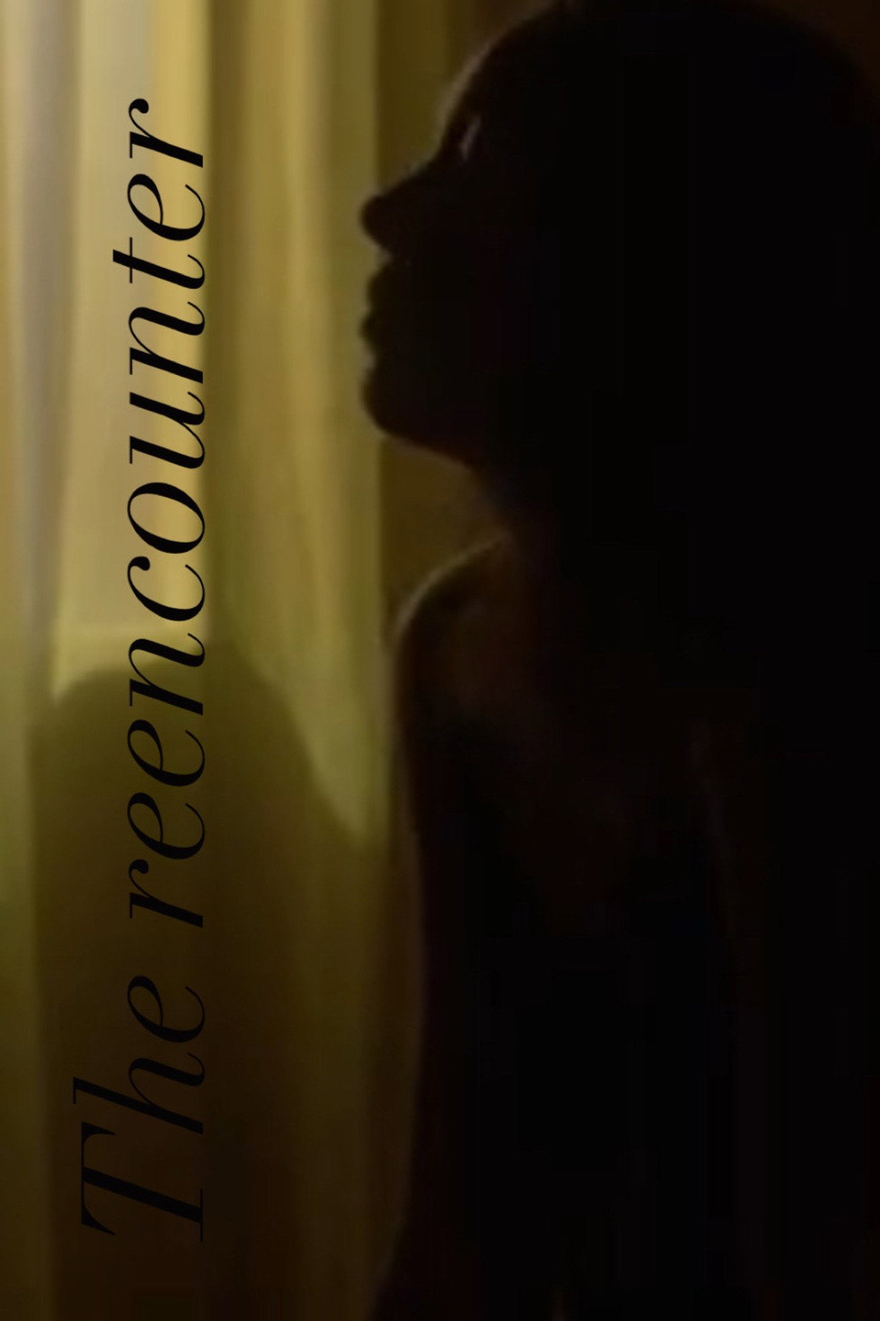 El Reencuentro filmaffisch