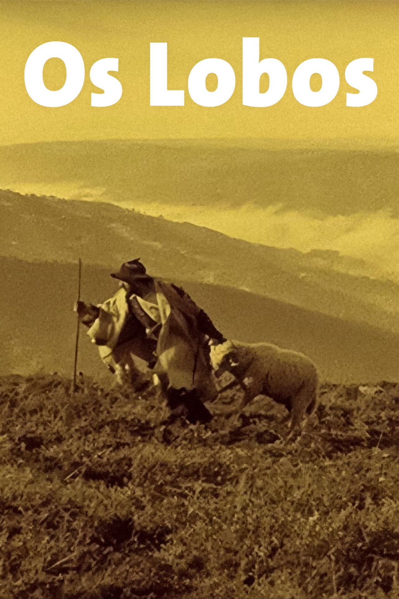 Os Lobos filmaffisch