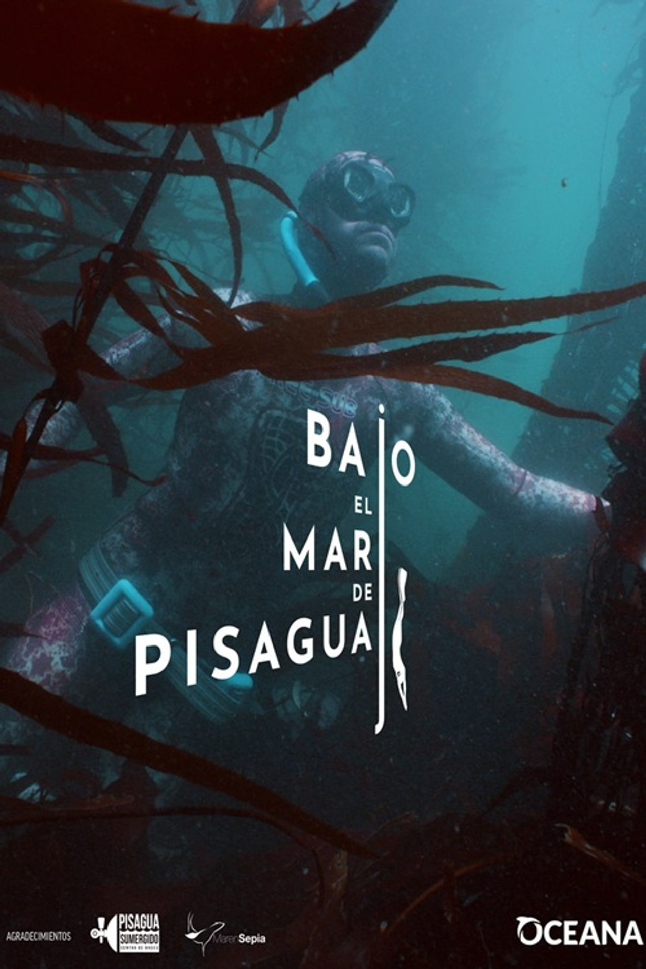 Bajo el mar de Pisagua