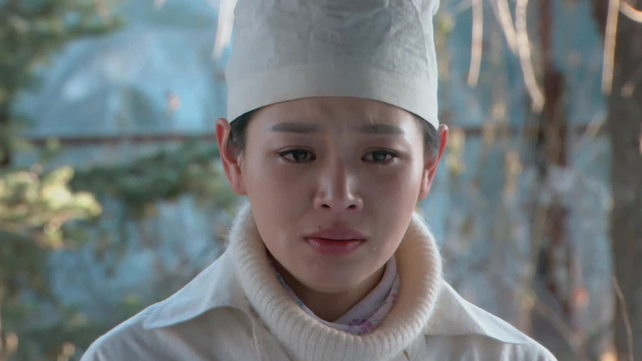 七九河开 — Épisode 20