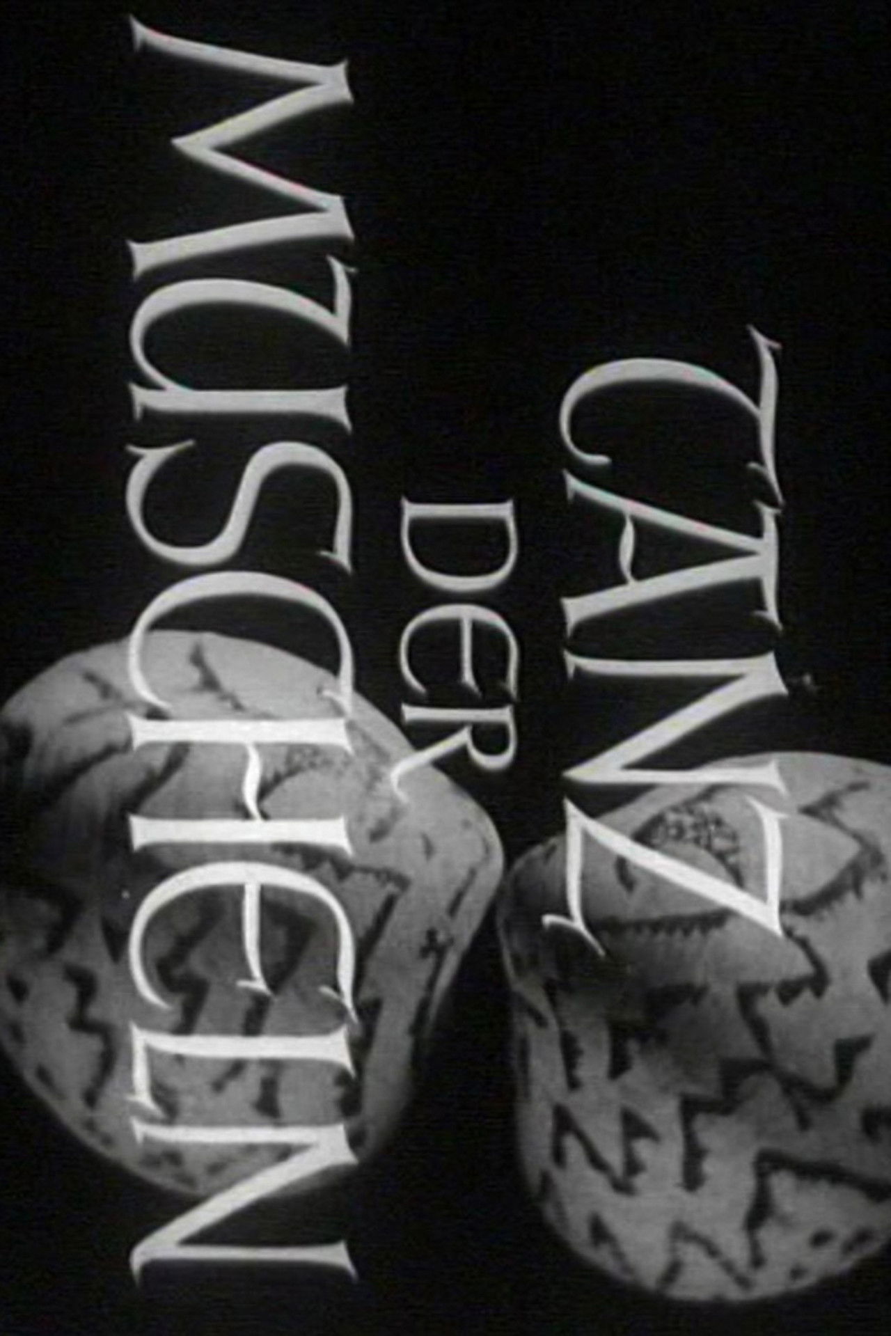 Tanz der Muscheln poster