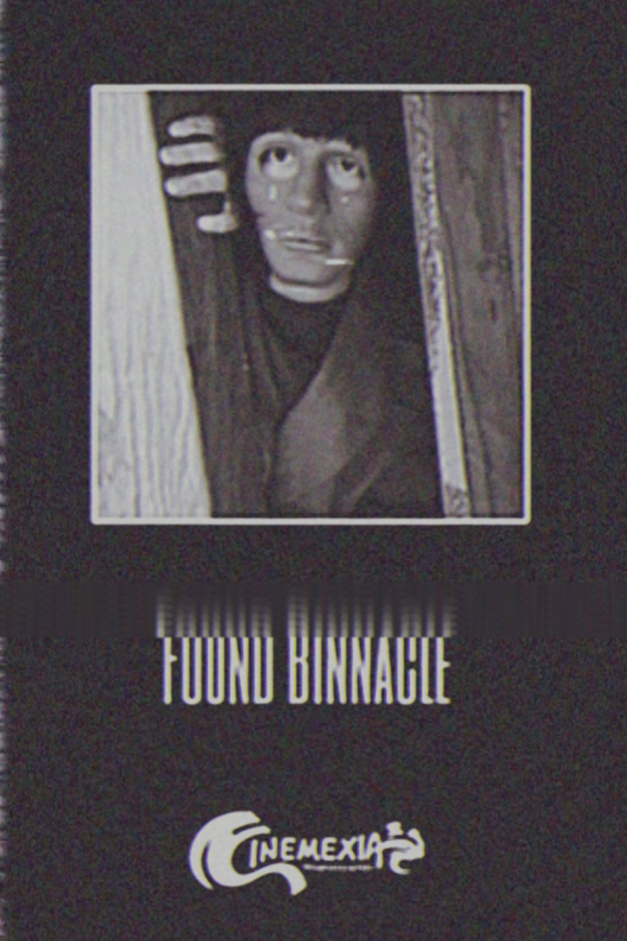 Found Binnacle poster