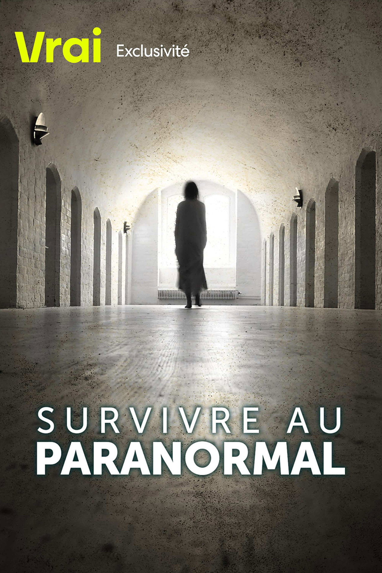 Paranormal Survivor poster