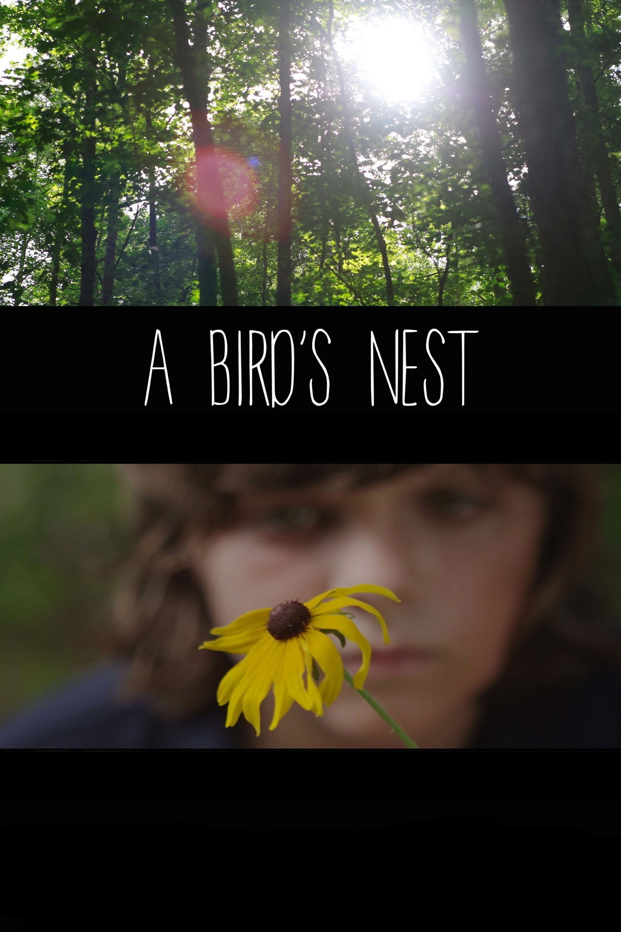 A Bird's Nest poster