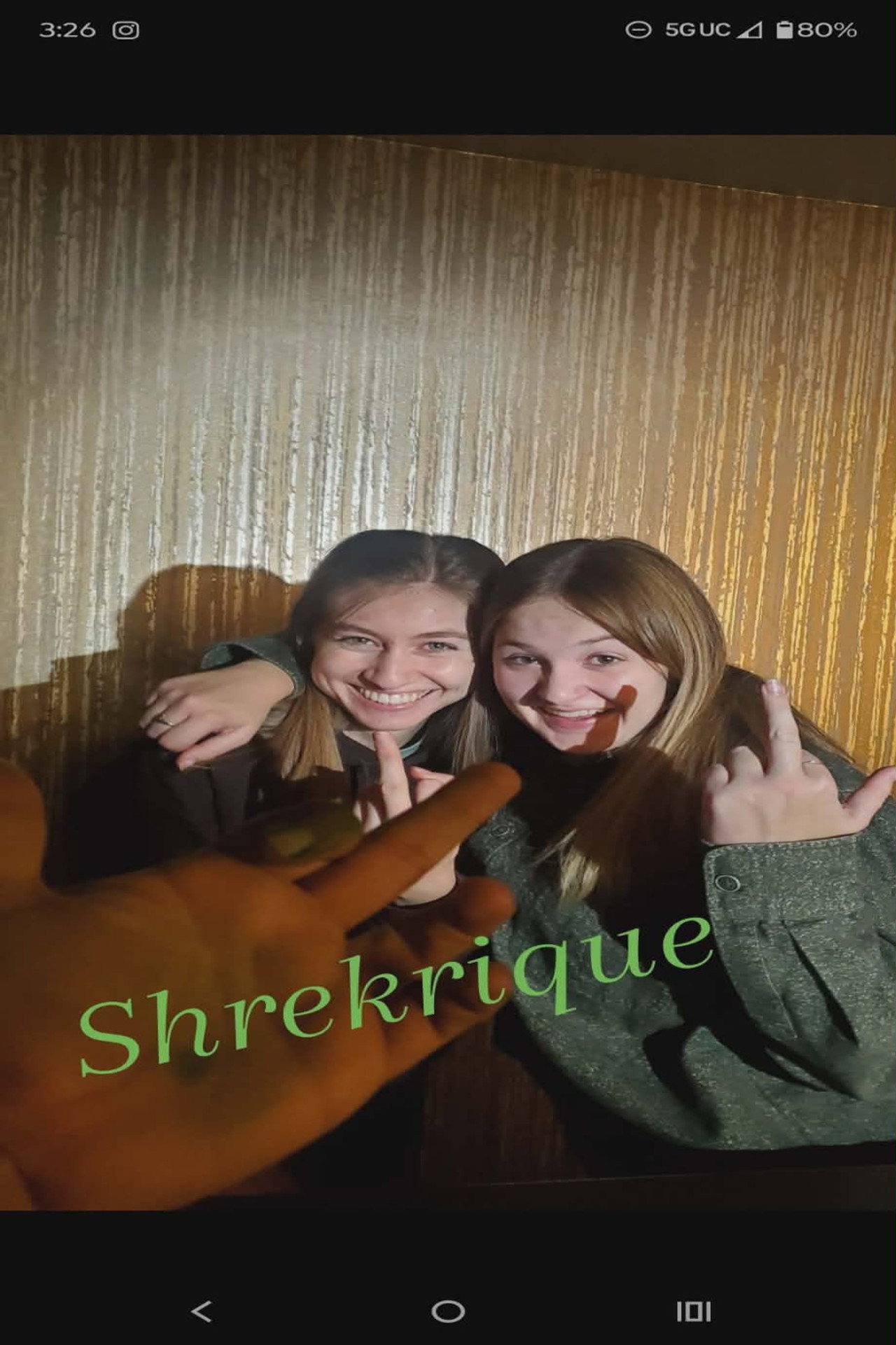 Shrekrique Backdrop