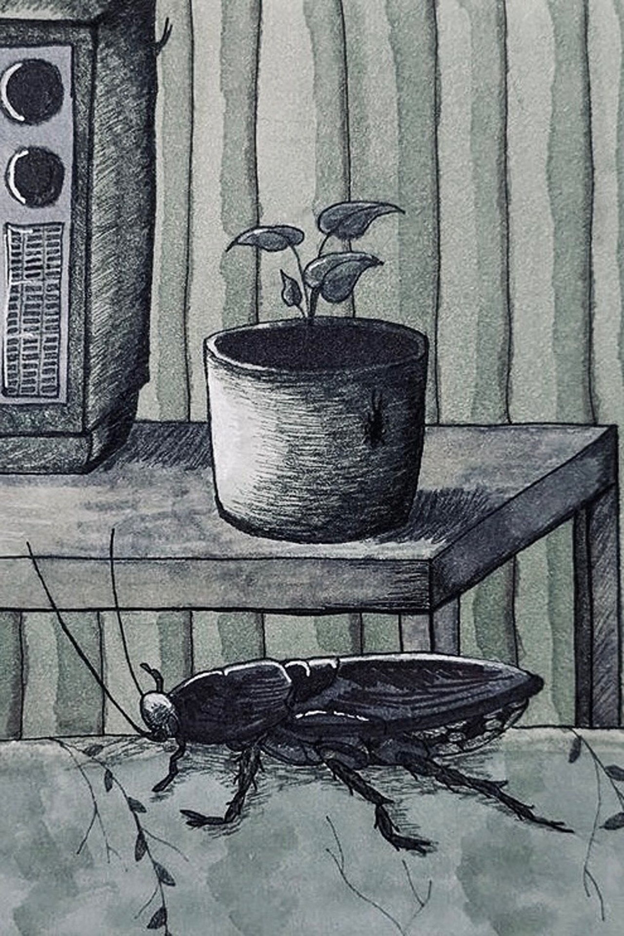 Bugman Bugman
