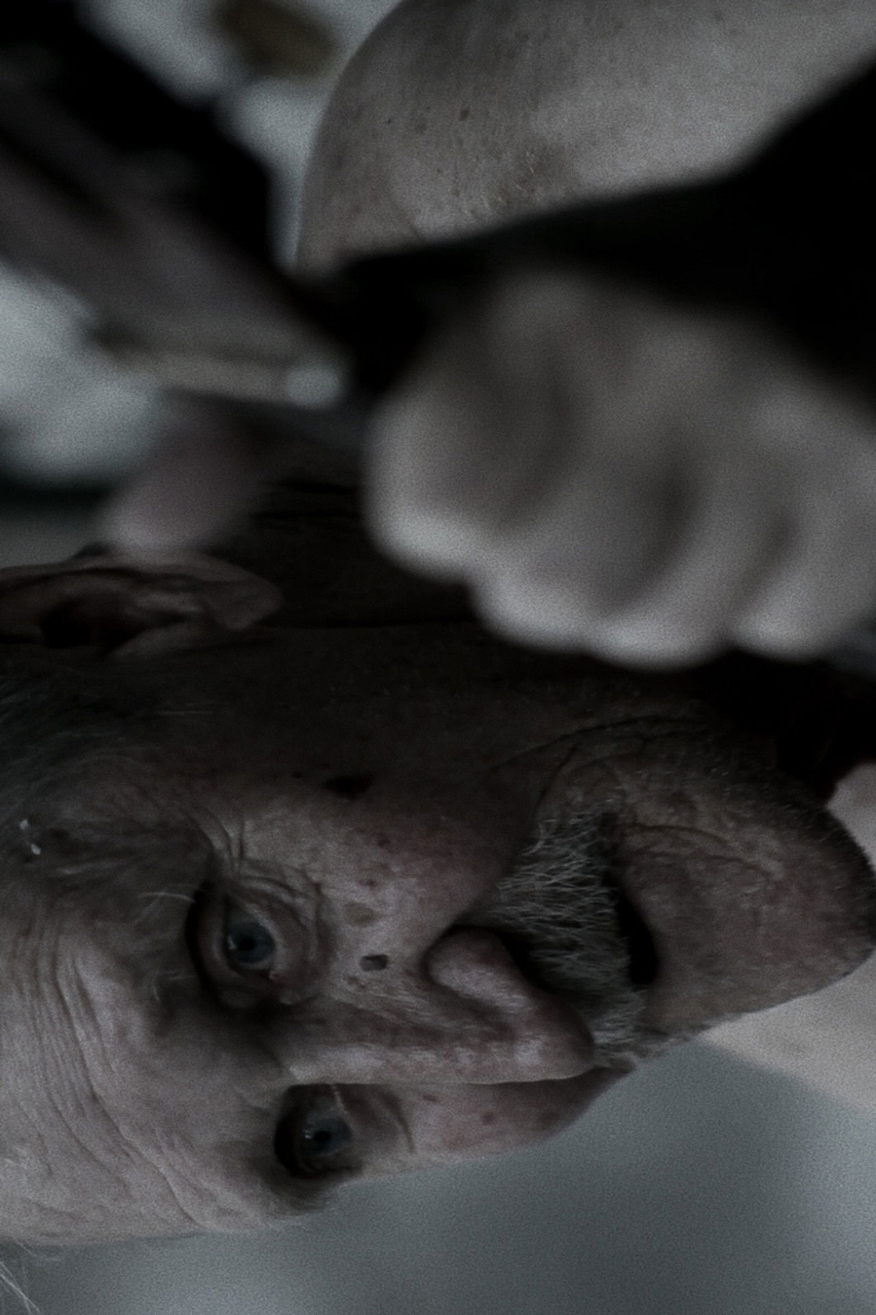 Black District Blues Backdrop