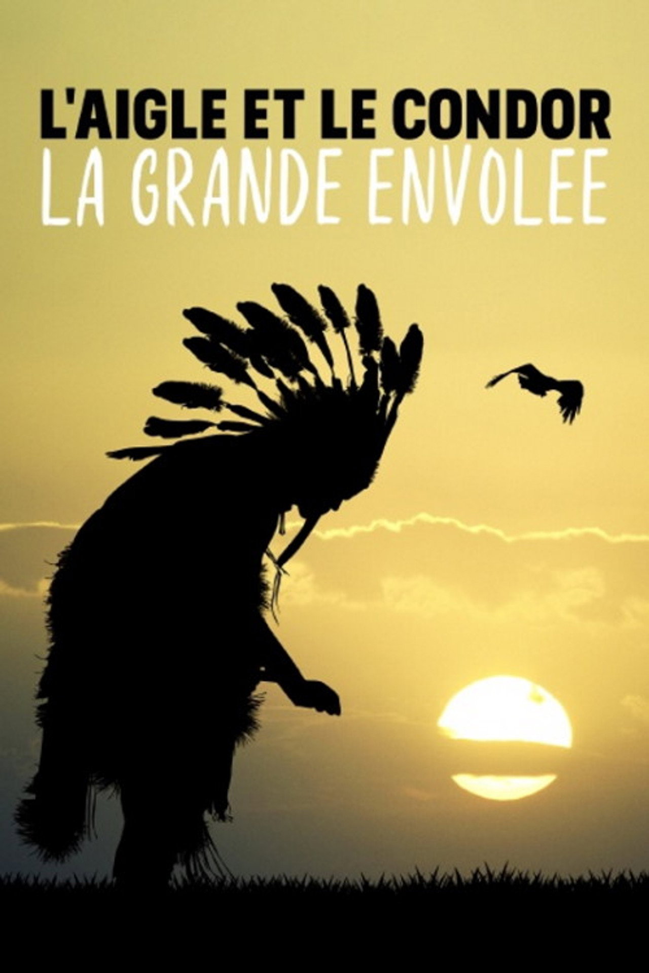 L'aigle et le condor, la grande envolée