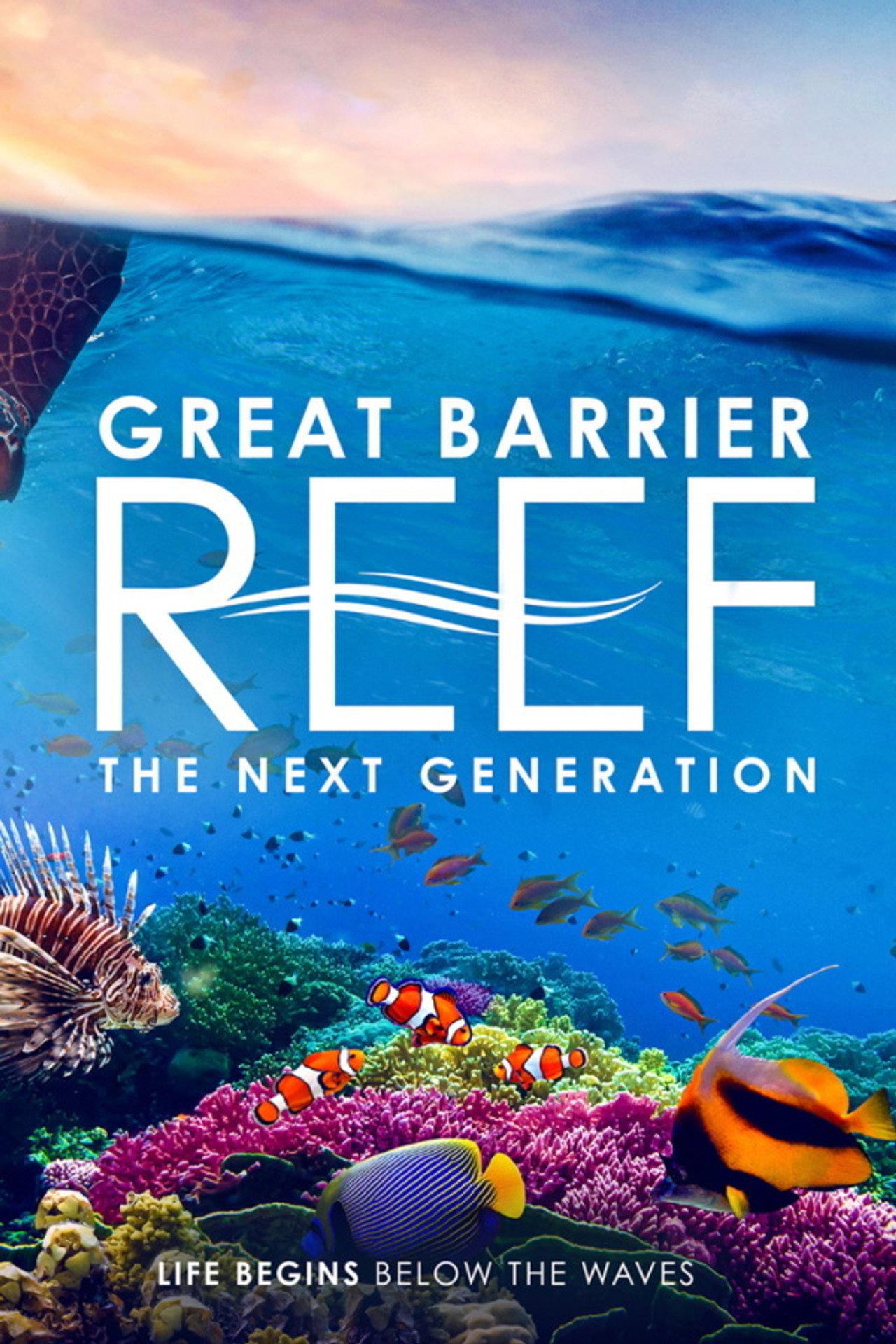 Great Barrier Reef: The Next Generation filmaffisch