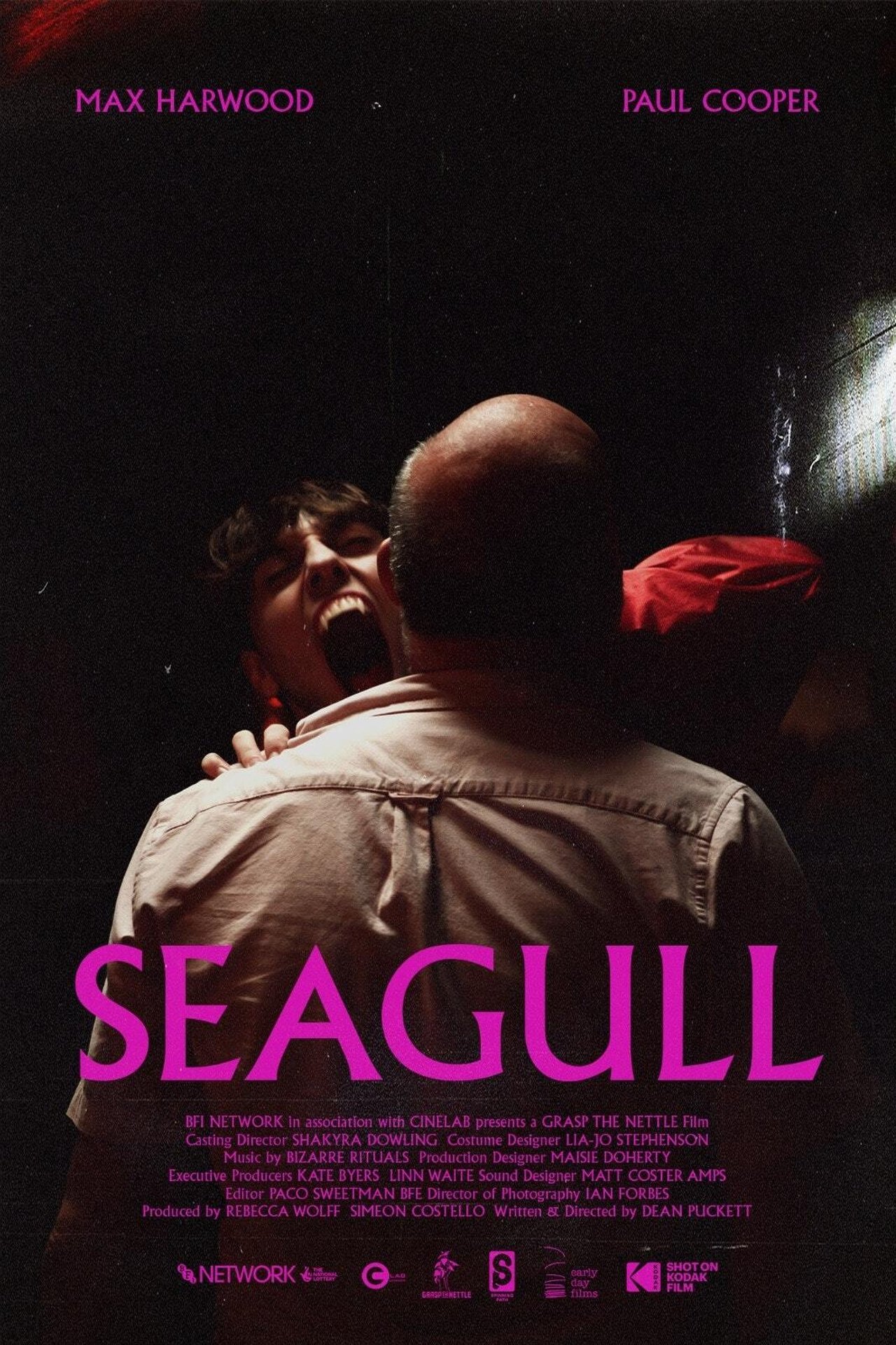 Seagull 2022