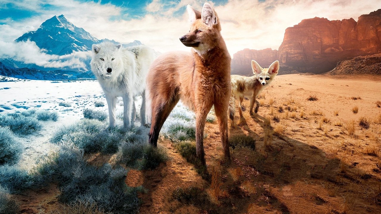 Backdrop for Dogs in the Wild: Meet the Family