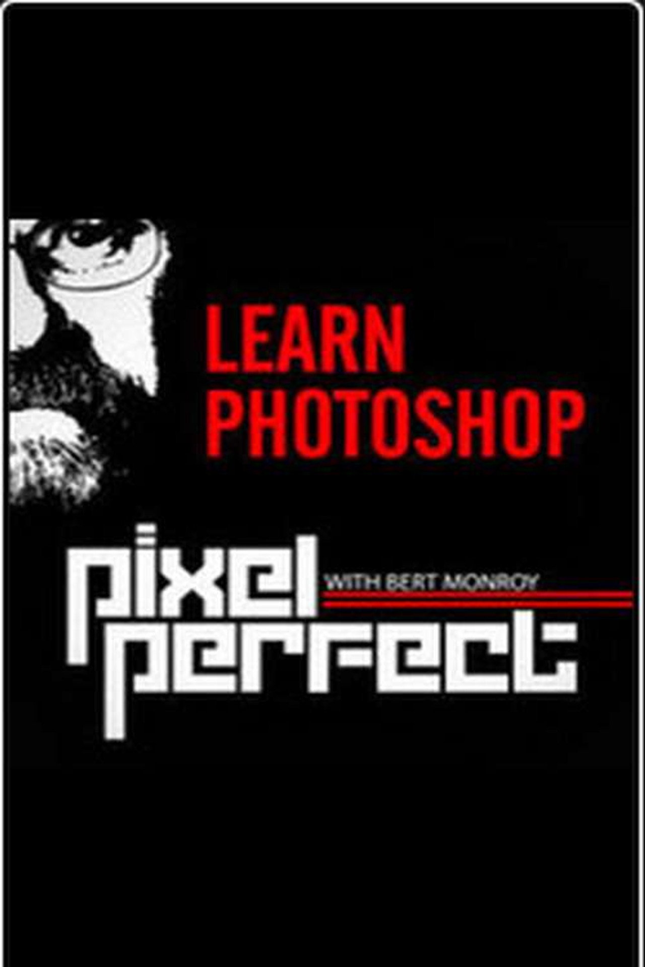 Pixel Perfect affisch