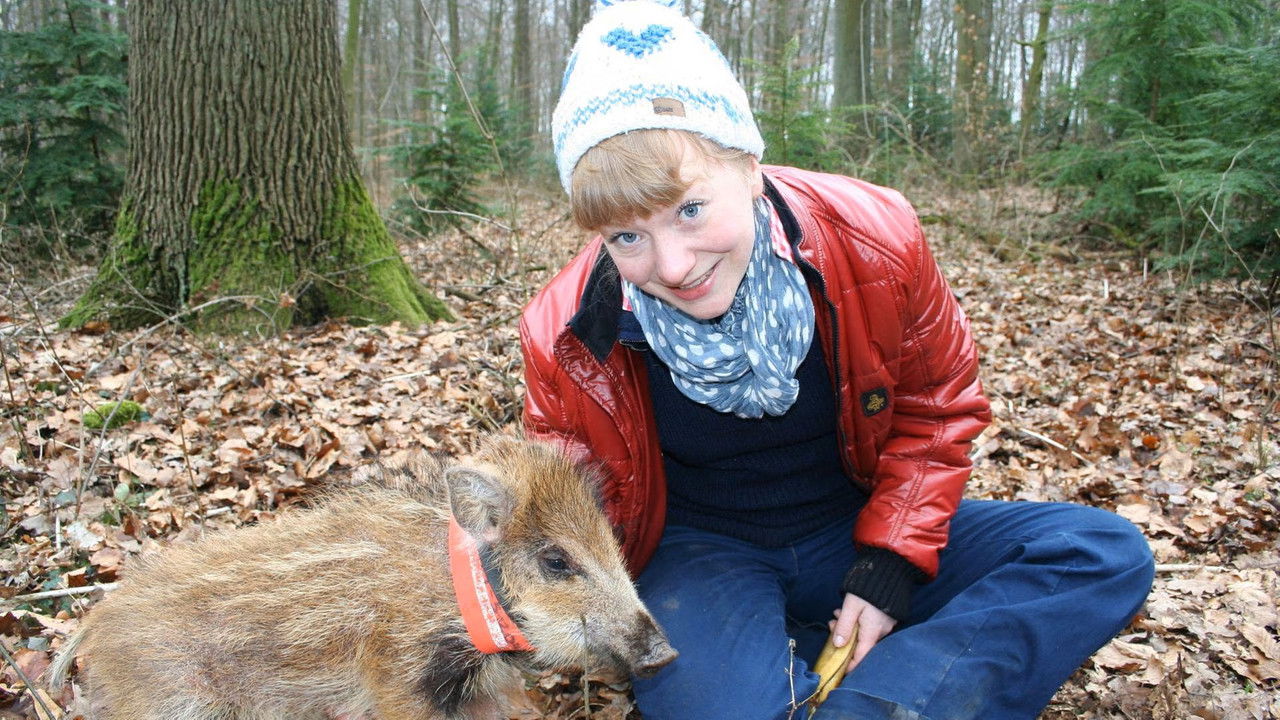 Paula und die wilden Tiere — Épisode 5