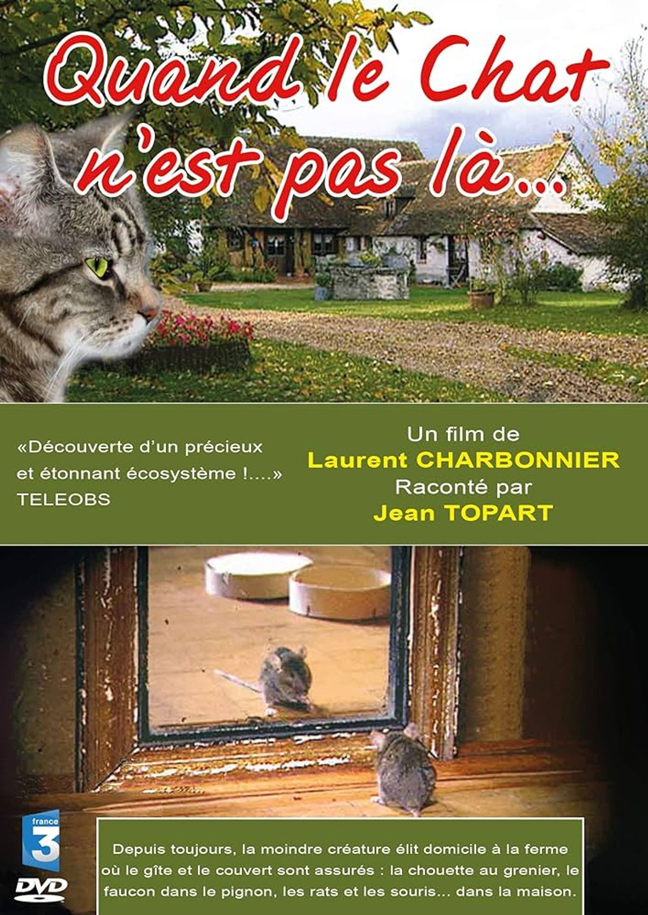 Quand le Chat n'est pas là… Backdrop