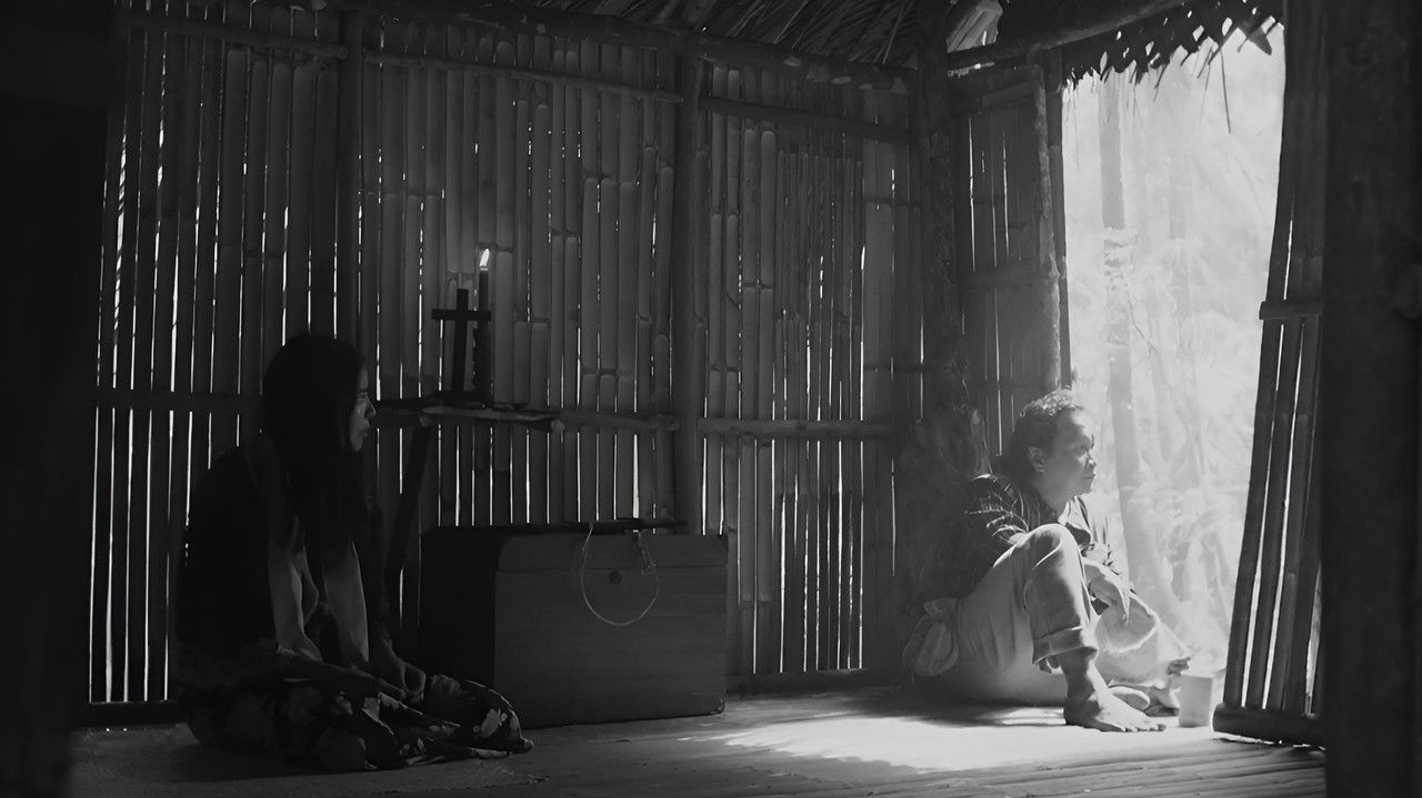 A Lullaby to the Sorrowful Mystery (2016) trailer