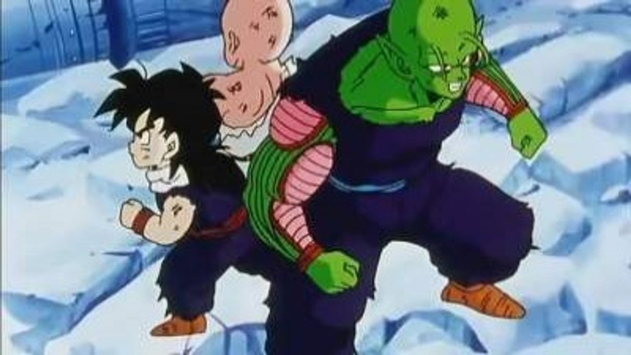 Image Private Dragon Ball Z