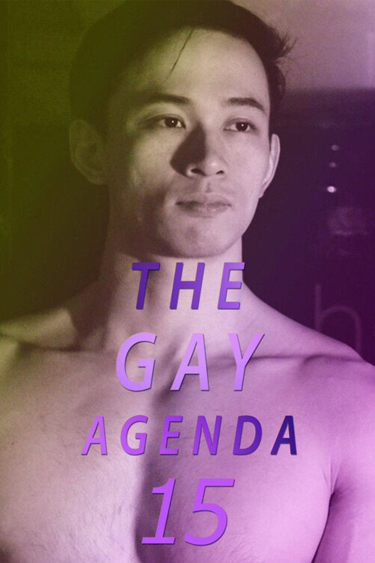 The Gay Agenda 15 filmaffisch