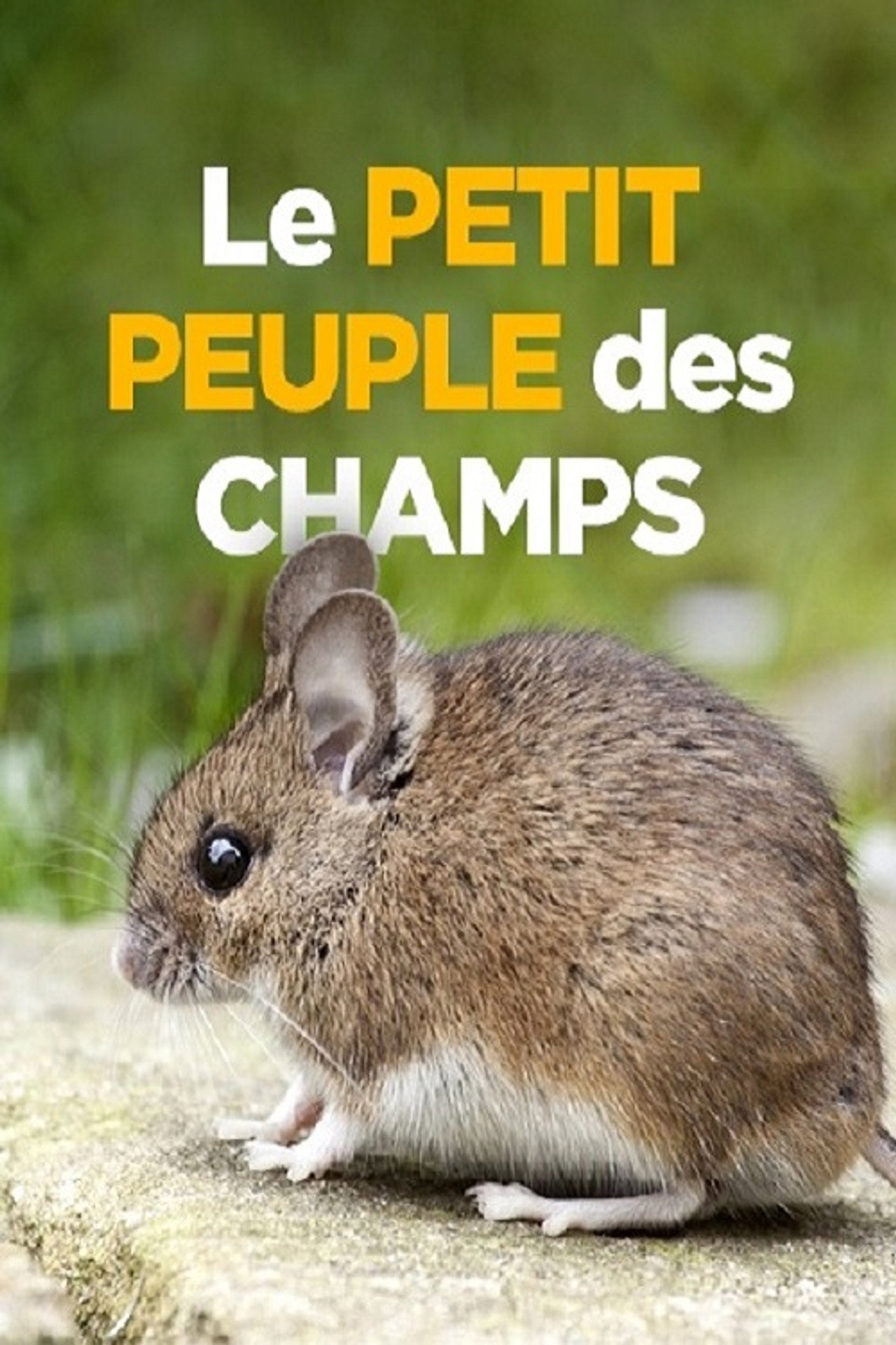 Le petit peuple des champs filmaffisch