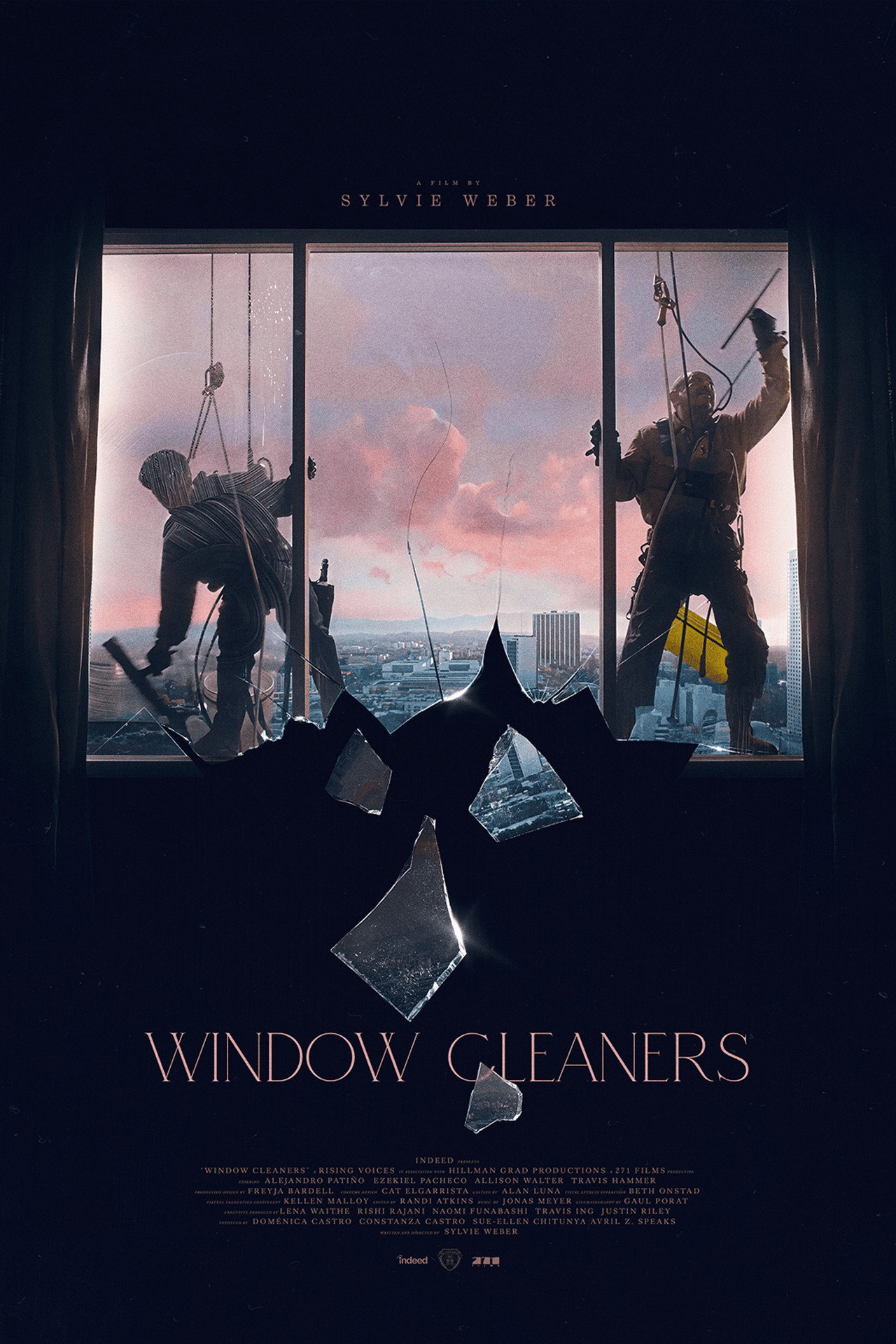 Window Cleaners