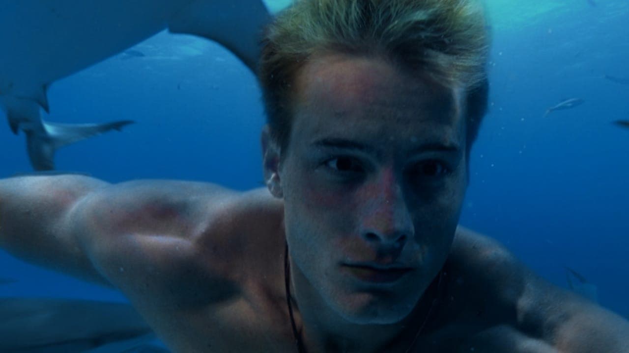 Aquaman (2006)