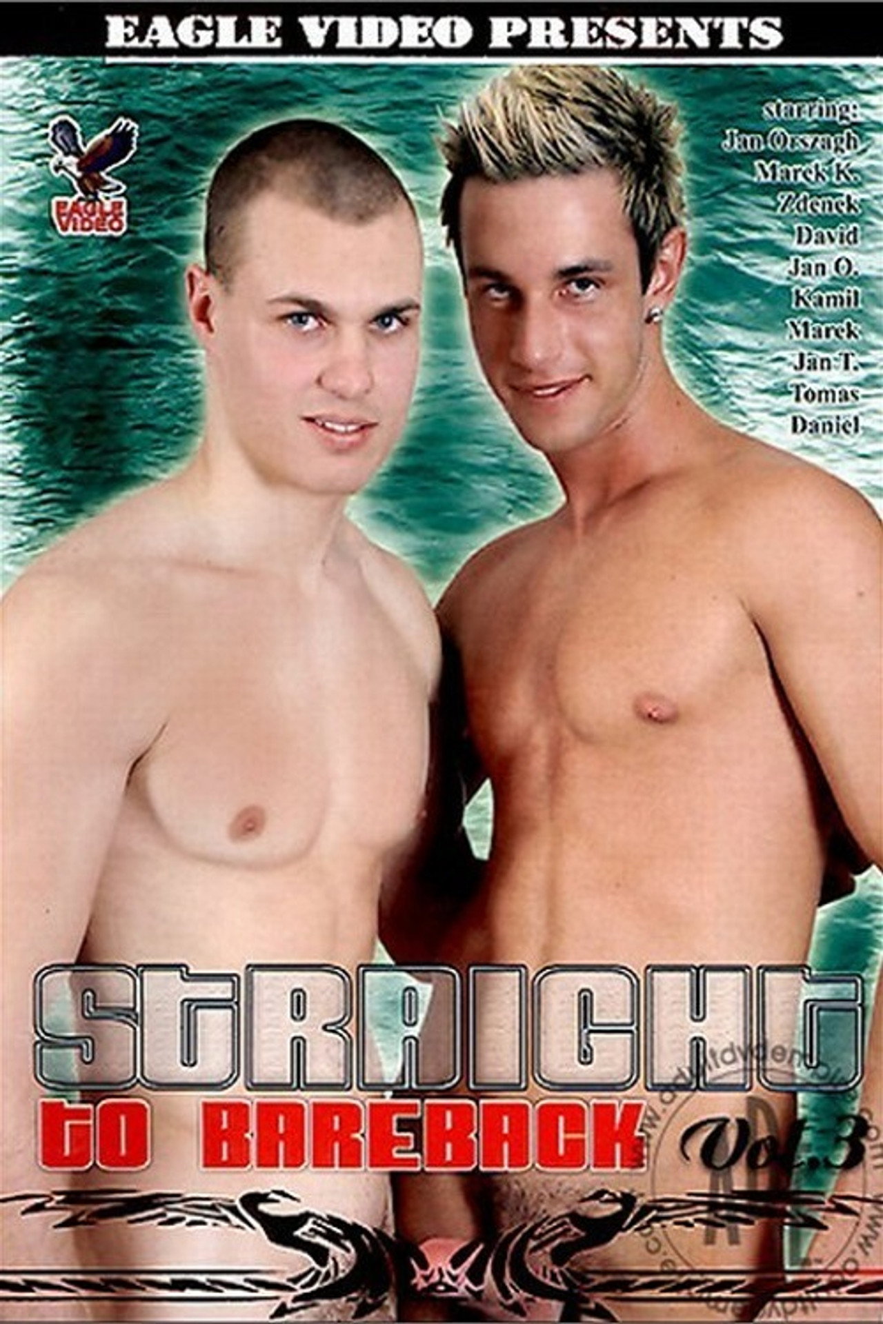Straight to Bareback 3 filmaffisch