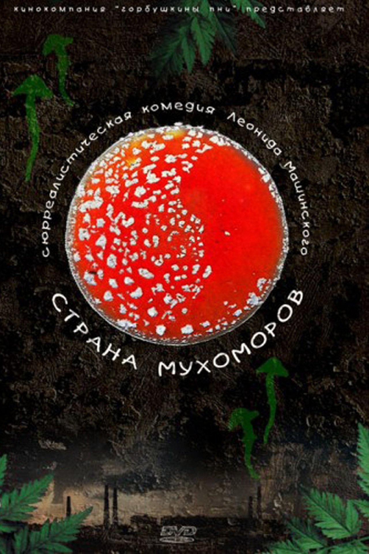 Страна мухоморов Страна мухоморов