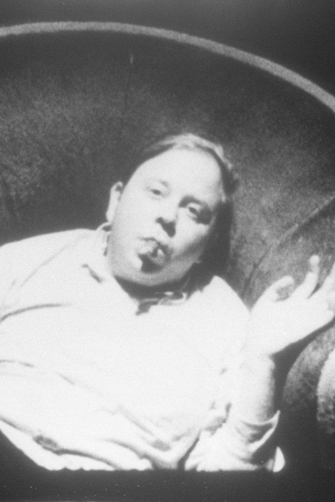 Henry Geldzahler Backdrop