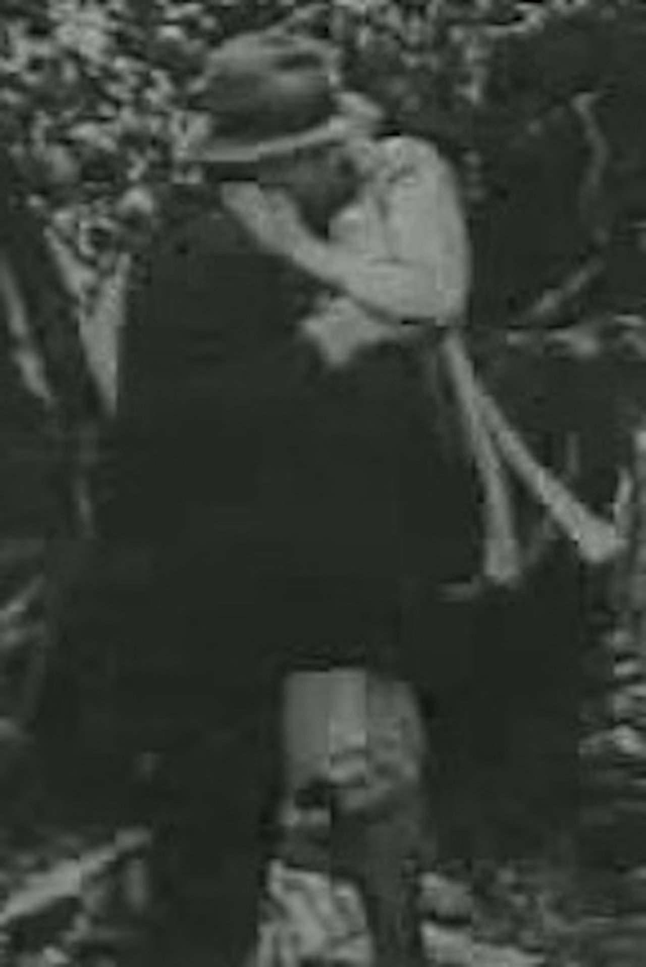 A Free Ride (1915)
