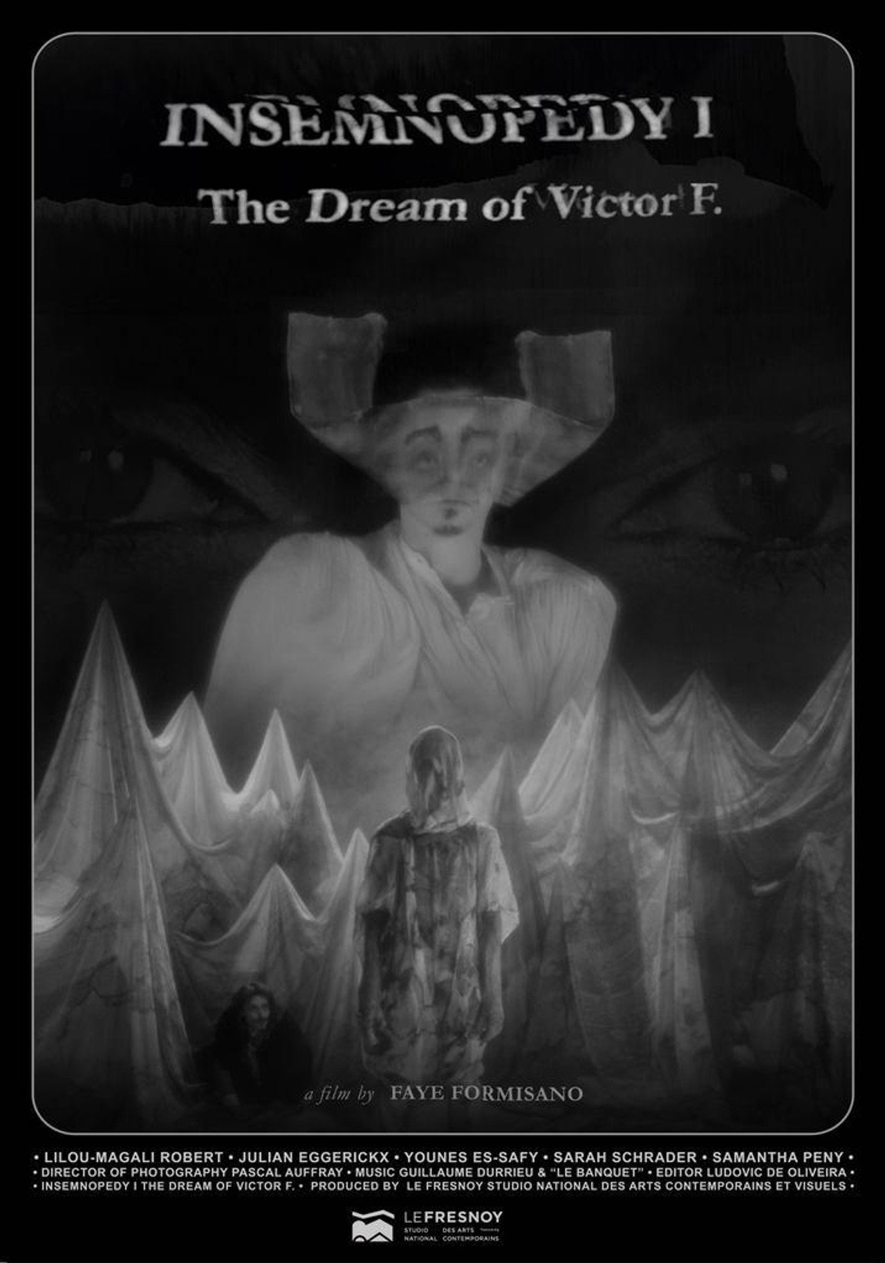 Insemnopedy - The Dream of Victor F. filmaffisch