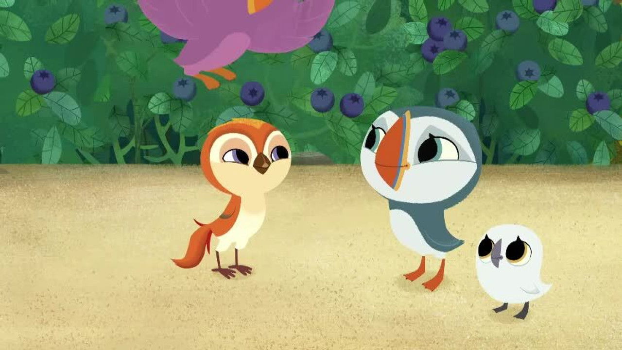 Puffin Rock — Épisode 16