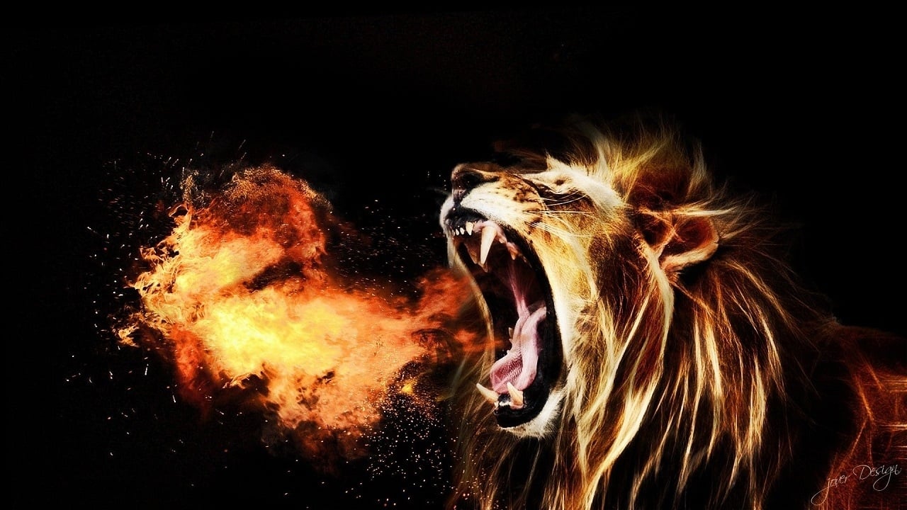 Let the Lion Roar background