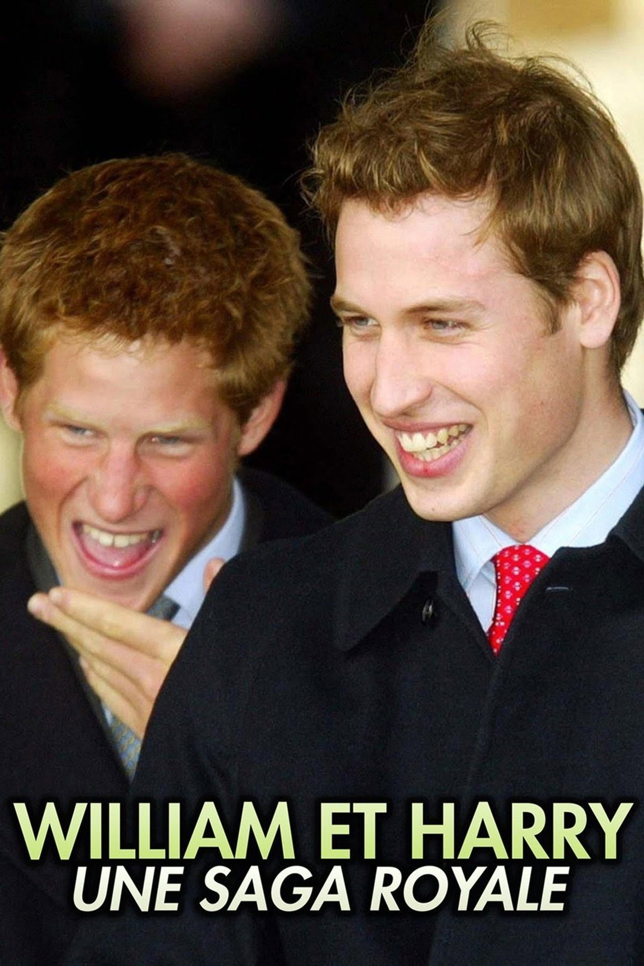 William et Harry, une saga royale filmaffisch