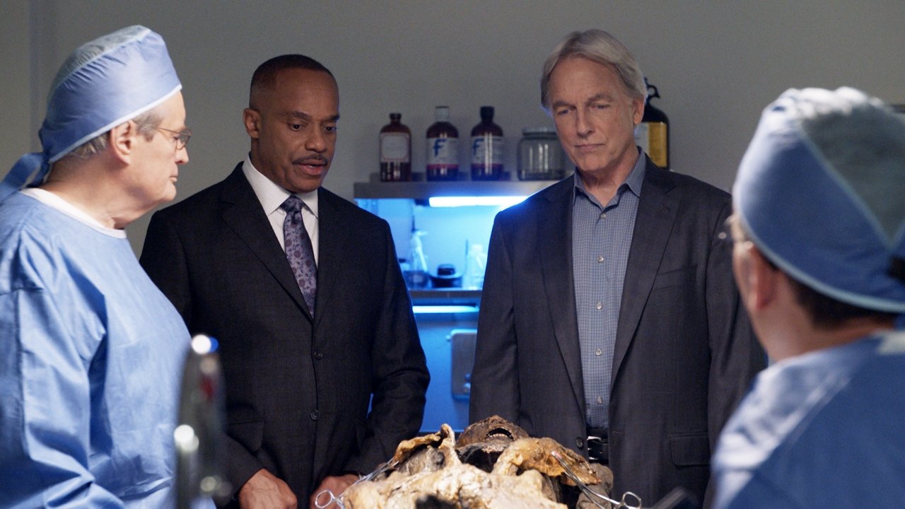 NCIS - Season 15 Episode 8 : Voices