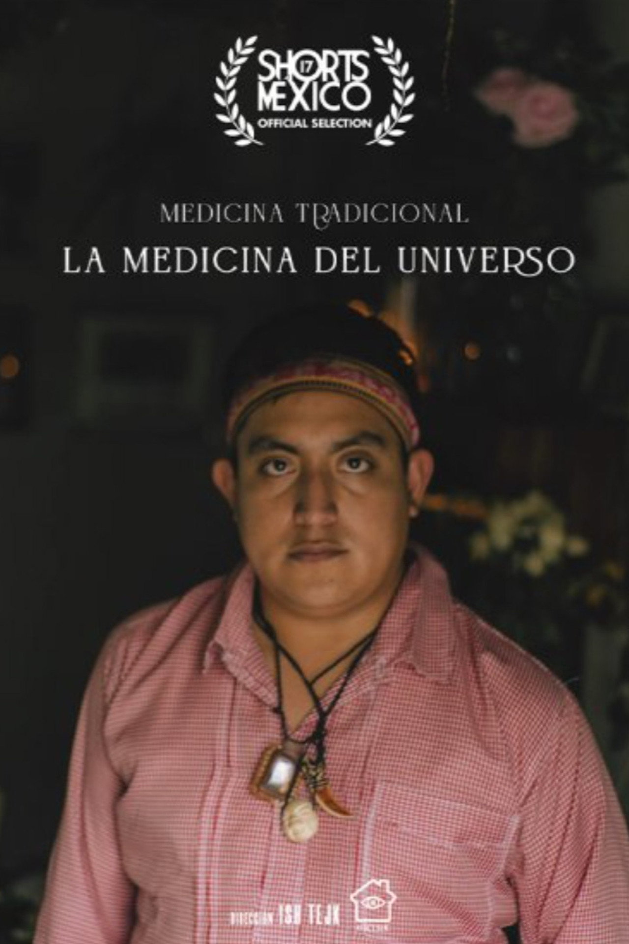 Medicina Tradicional, La Medicina Del Universo filmaffisch