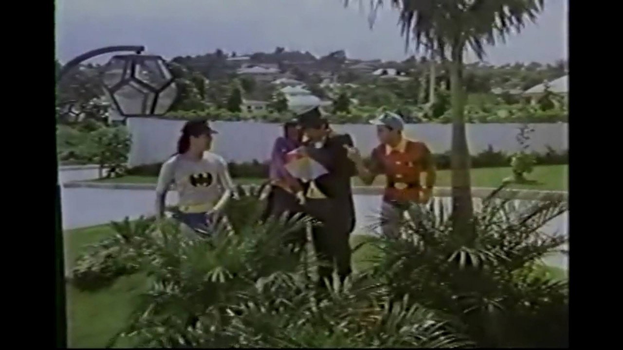 Alias Batman and Robin backdrop