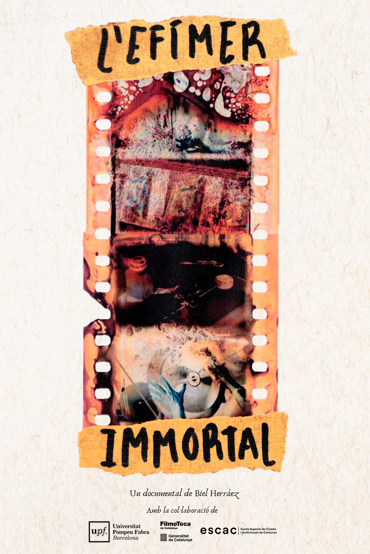 L'efímer Immortal