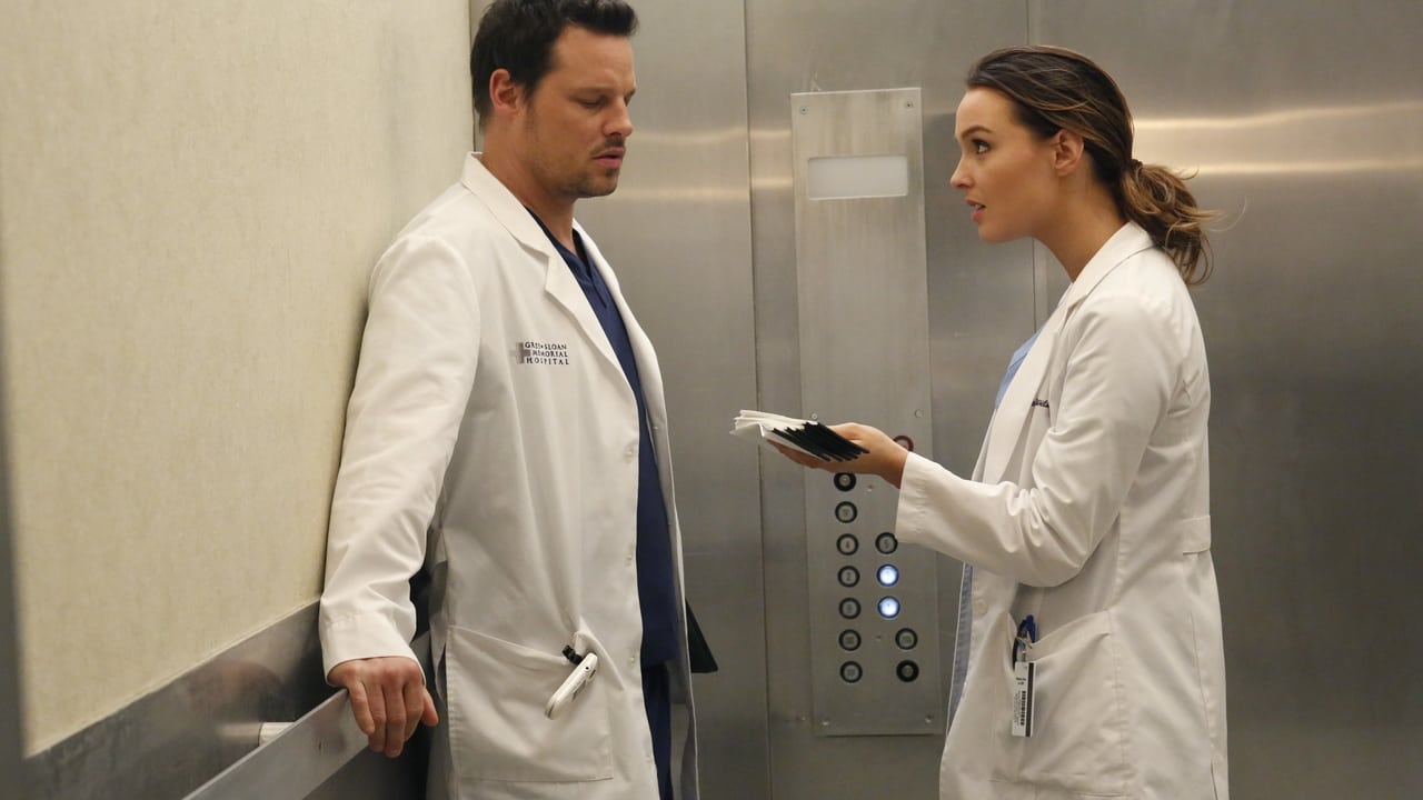 Grey's Anatomy - Season 10 Episode 18 : You Be Illin'