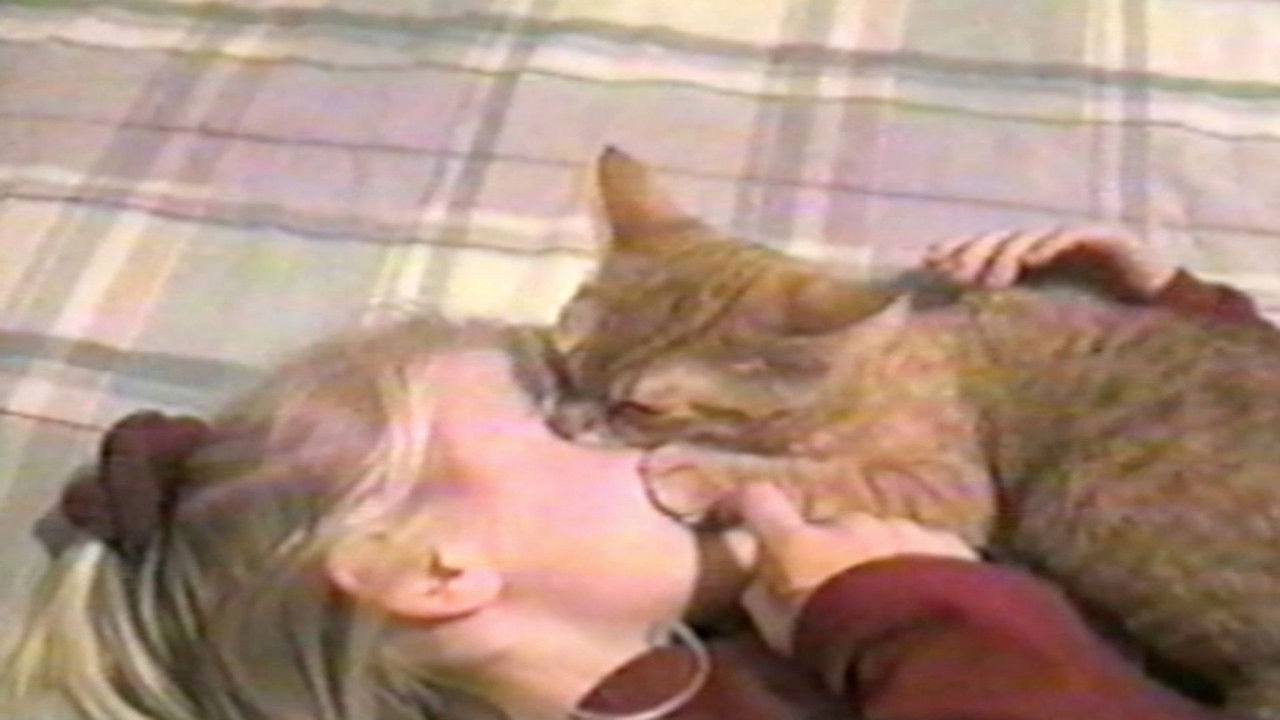 Funniest Pets & People — Épisode 10