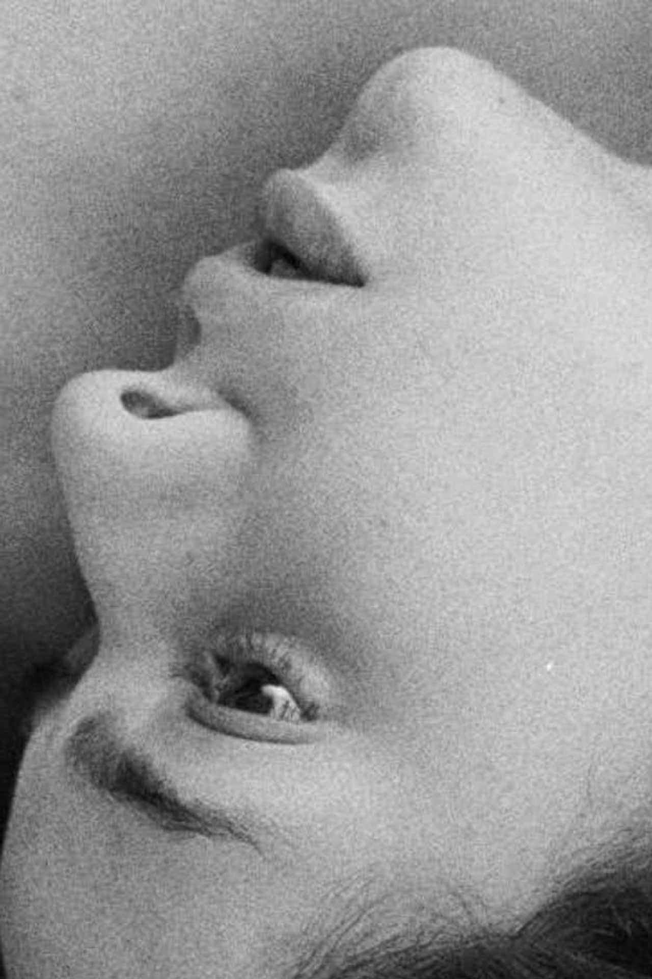 Among These Ruins Backdrop