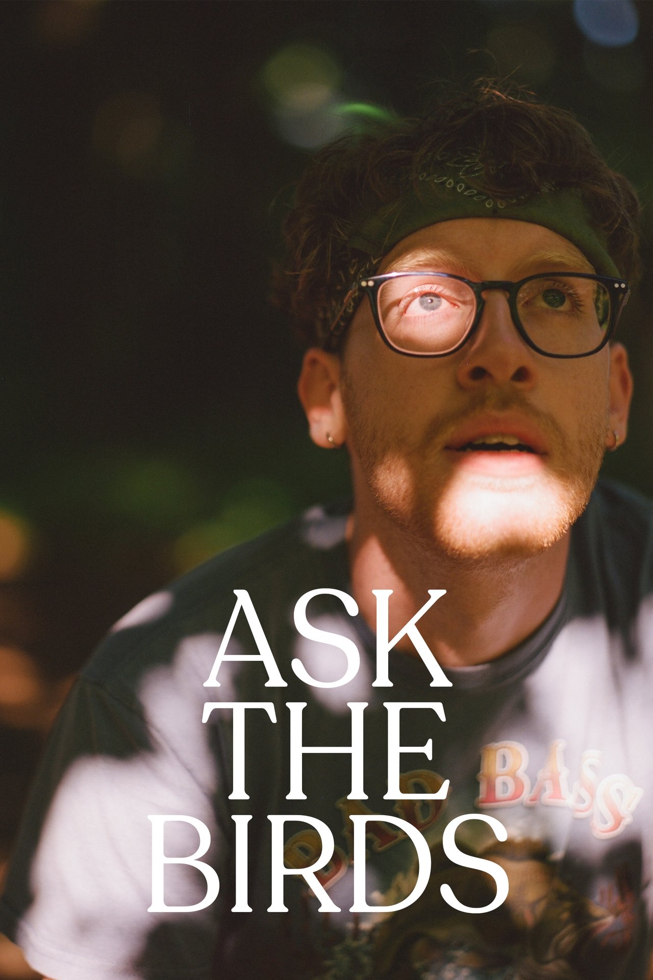 Ask The Birds poster