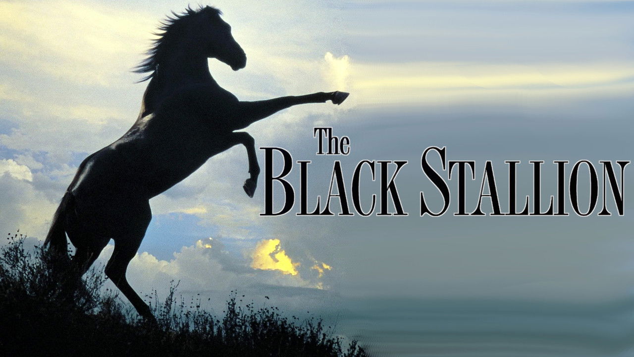 The Black Stallion