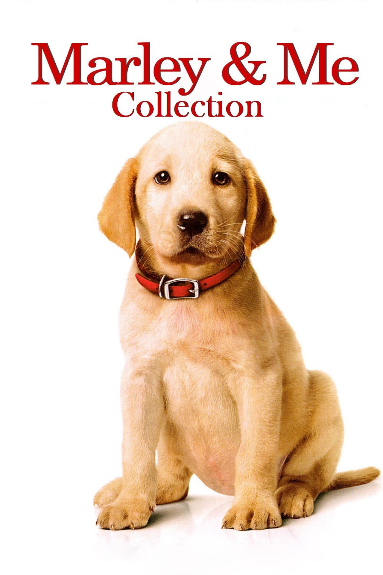 Marley & Me Collection