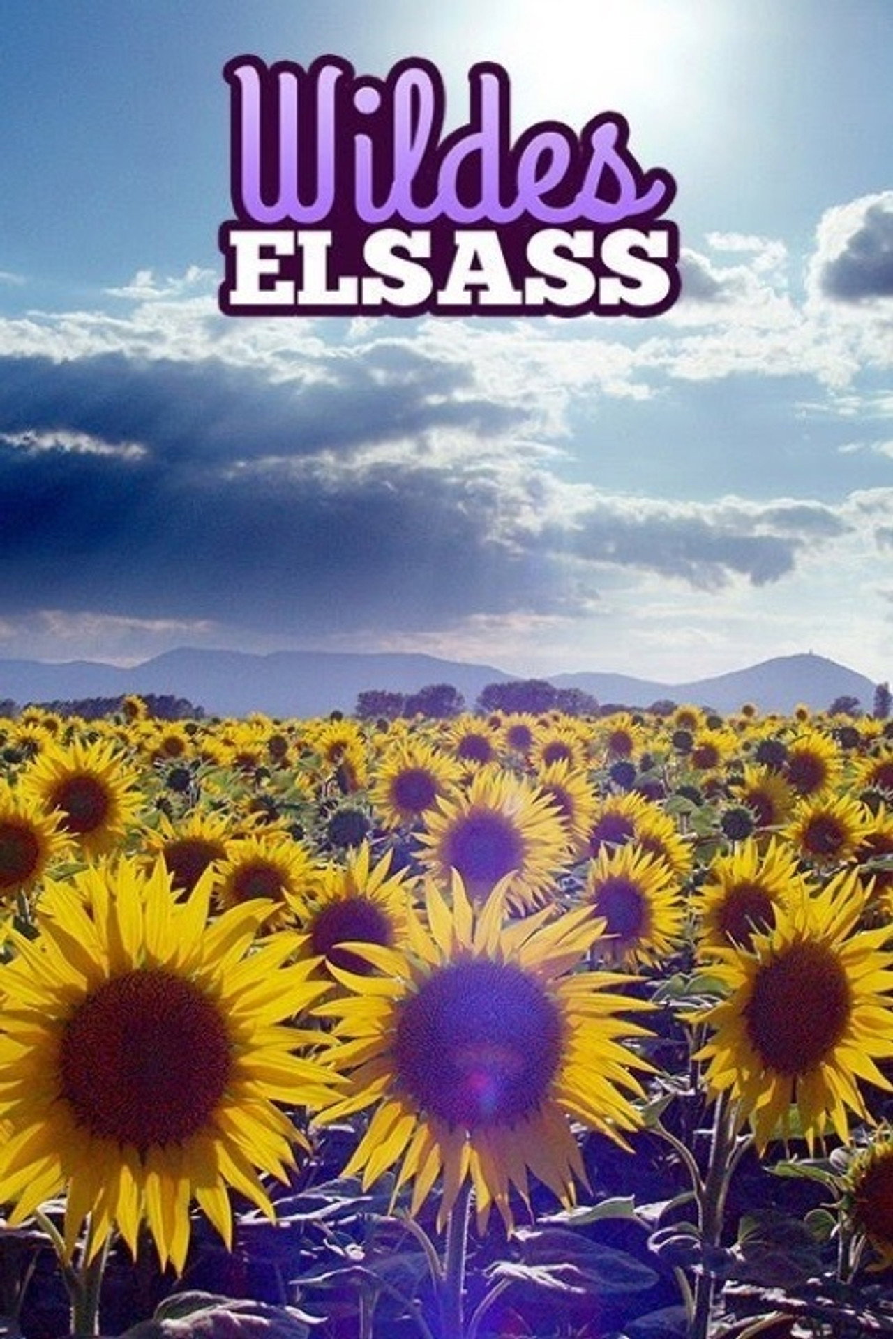 Wildes Elsass filmaffisch