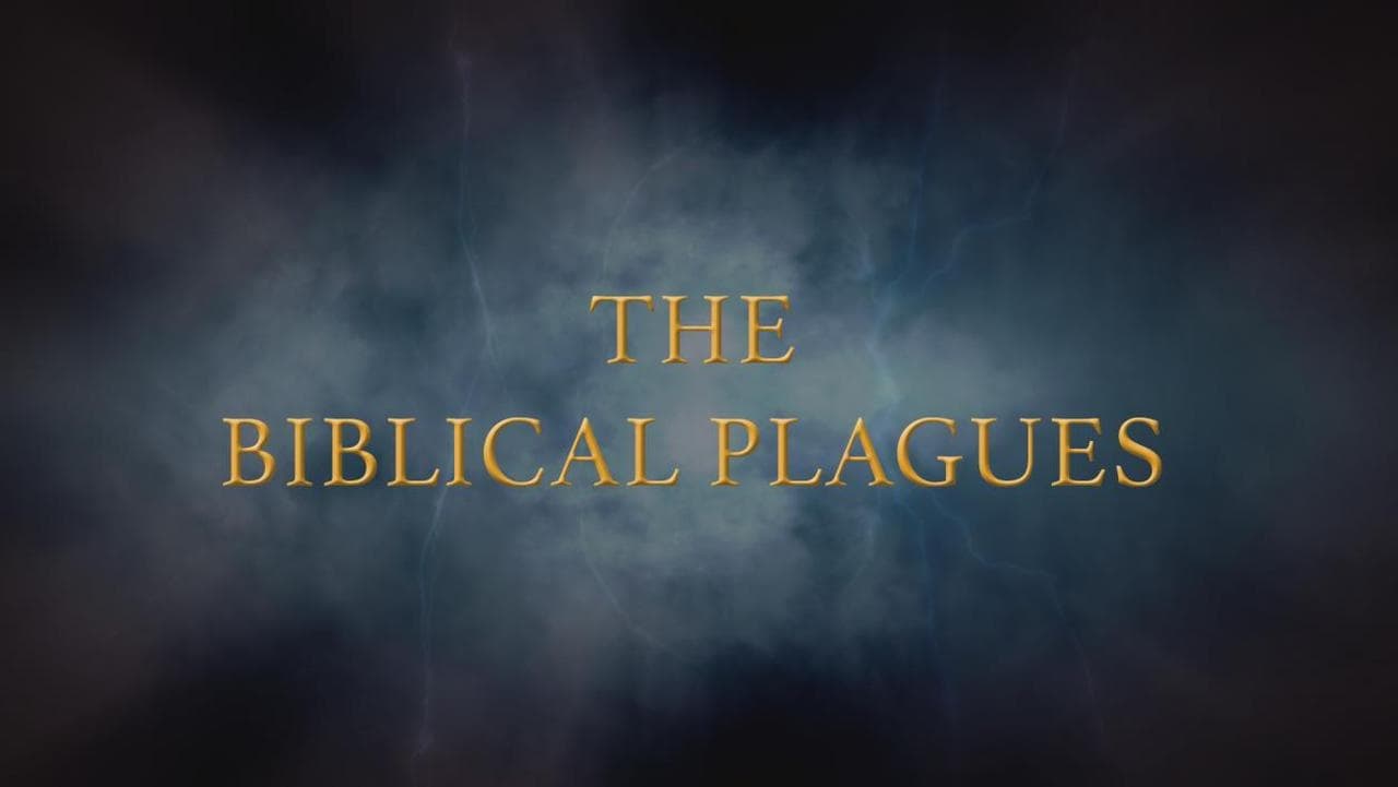 The Biblical Plagues background