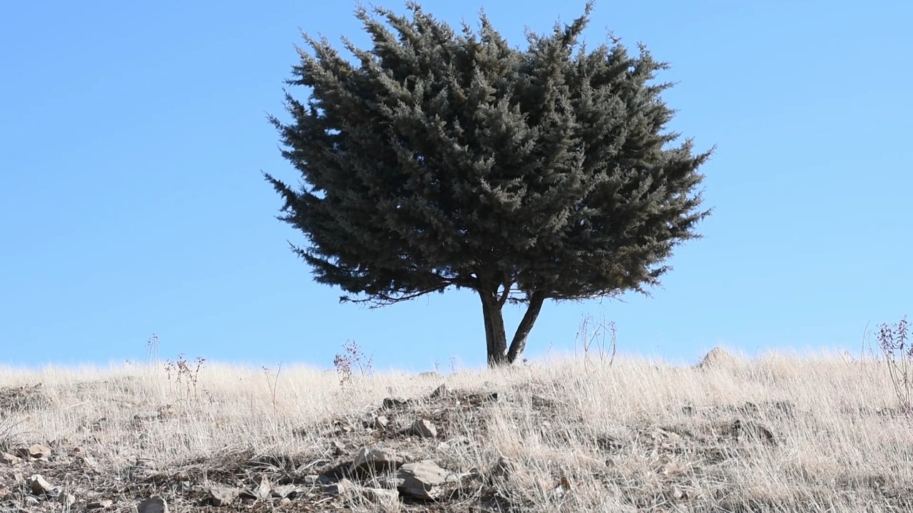 Backdrop for Where is the Final Destination?