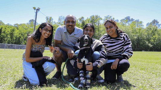 The Wizard of Paws - Season 4 Episode 9 : Kala Me Mine