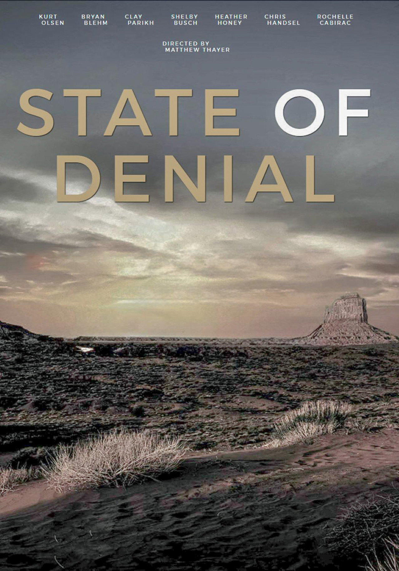 State of Denial: Arizona filmaffisch