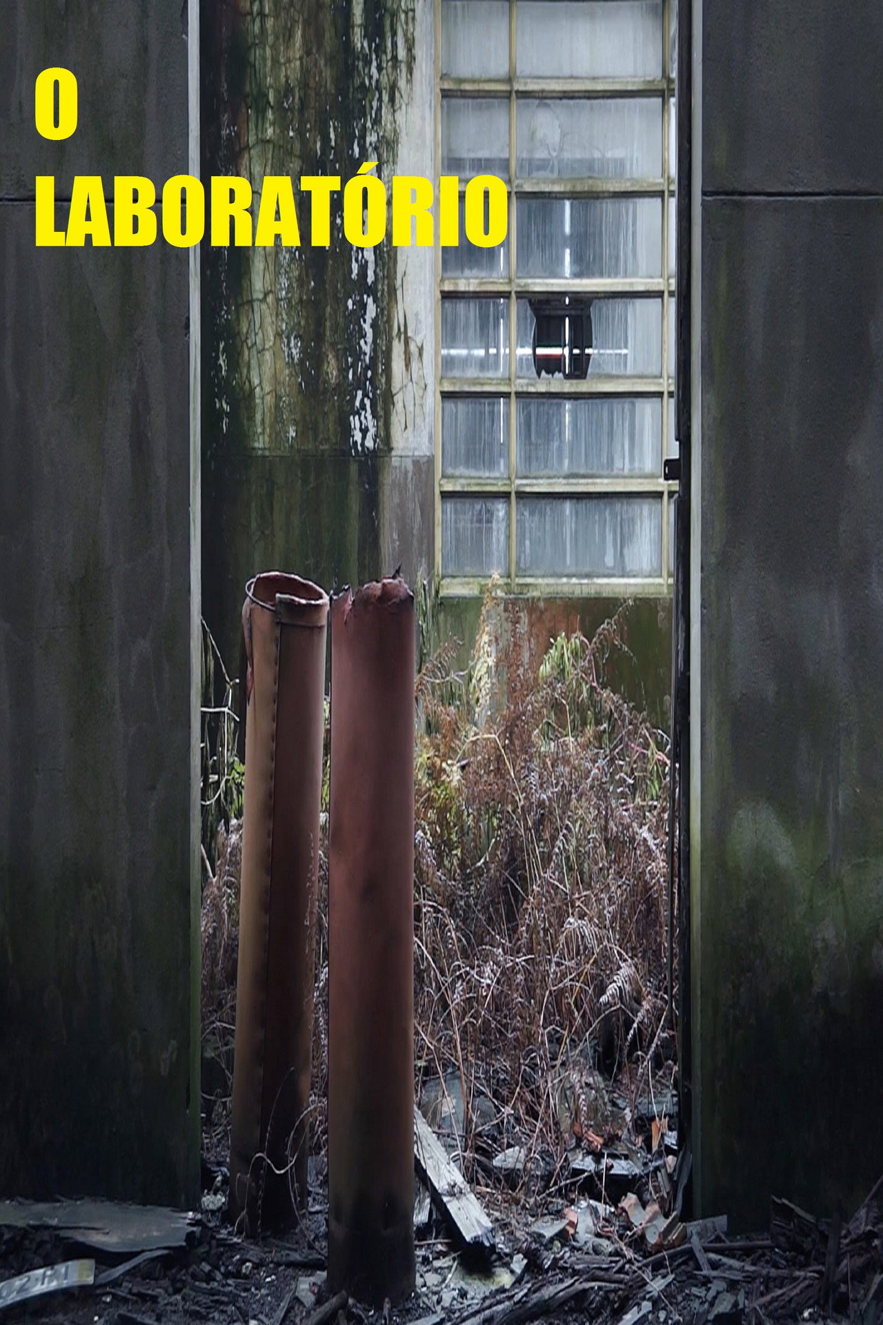 The Laboratory (2018)